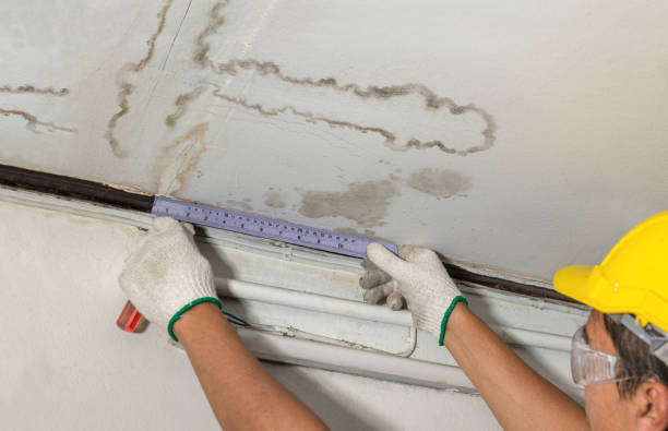 Reliable Flood Cleanup contractor in Conway, NH by Water Damage Irwin